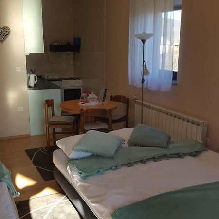 Studio Apartman Salopek Оґулин Екстер'єр фото