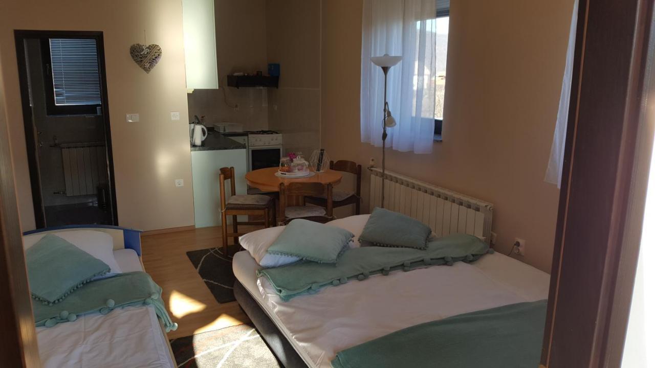 Studio Apartman Salopek Оґулин Екстер'єр фото