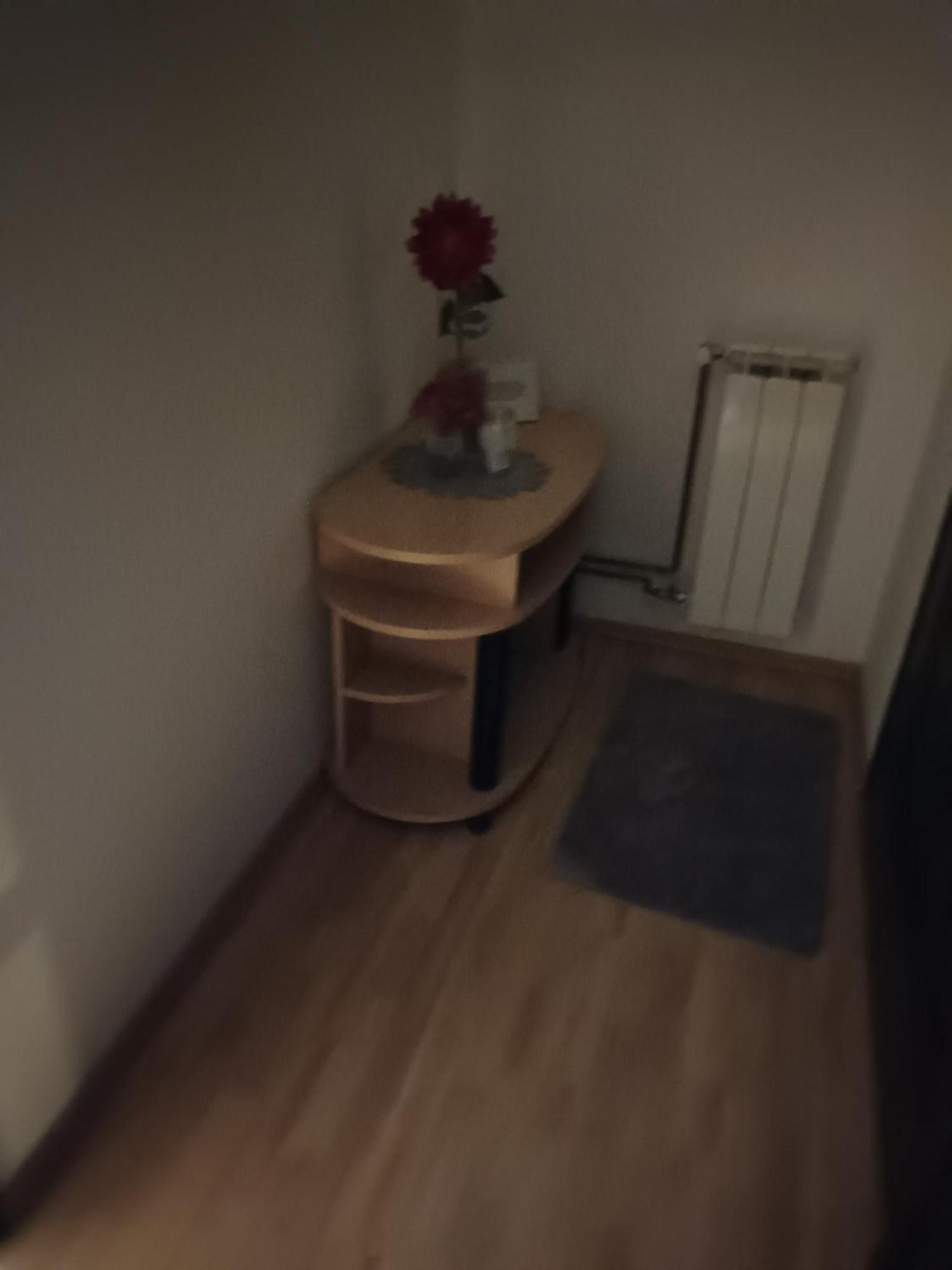 Studio Apartman Salopek Оґулин Екстер'єр фото