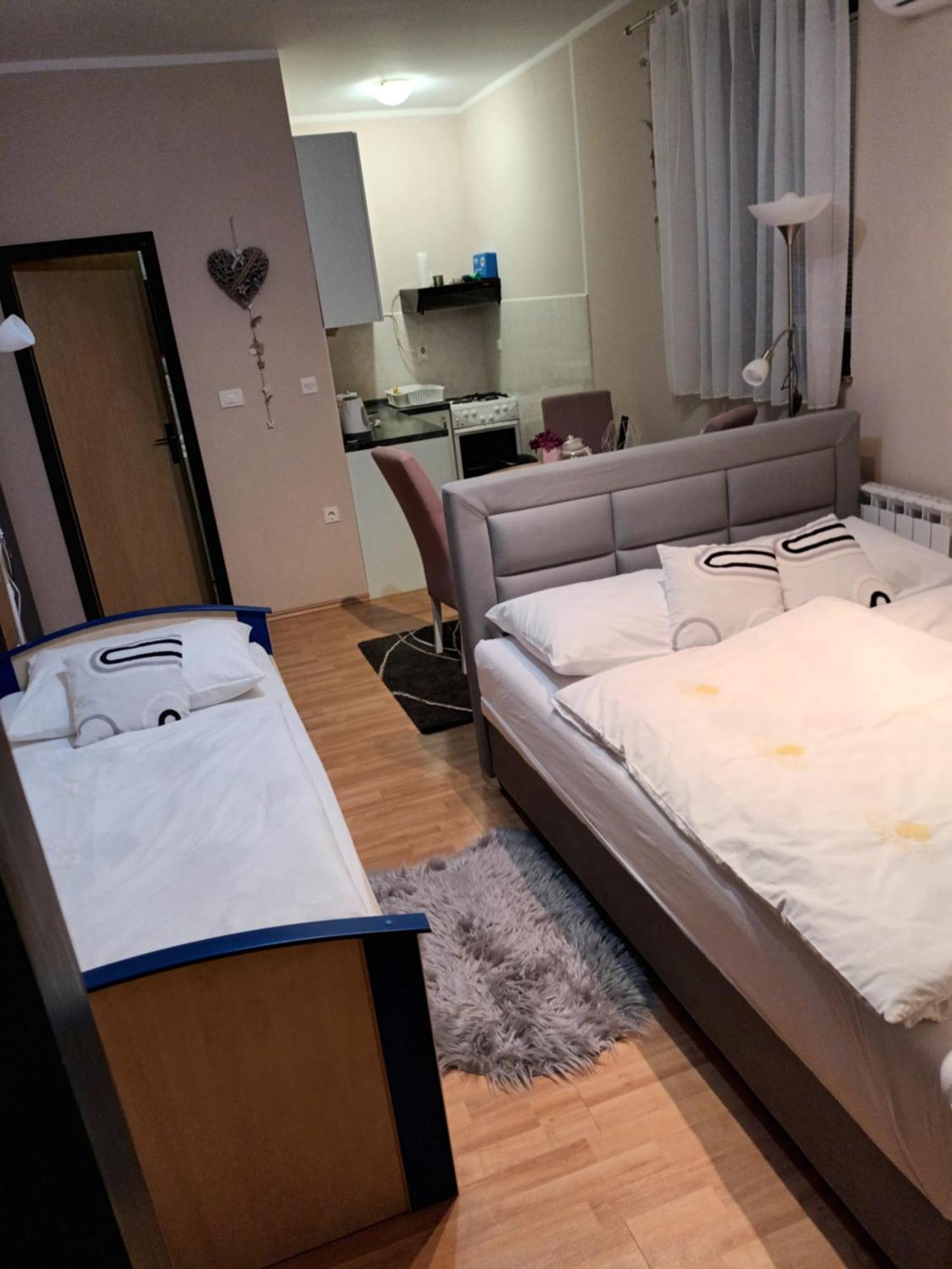 Studio Apartman Salopek Оґулин Екстер'єр фото